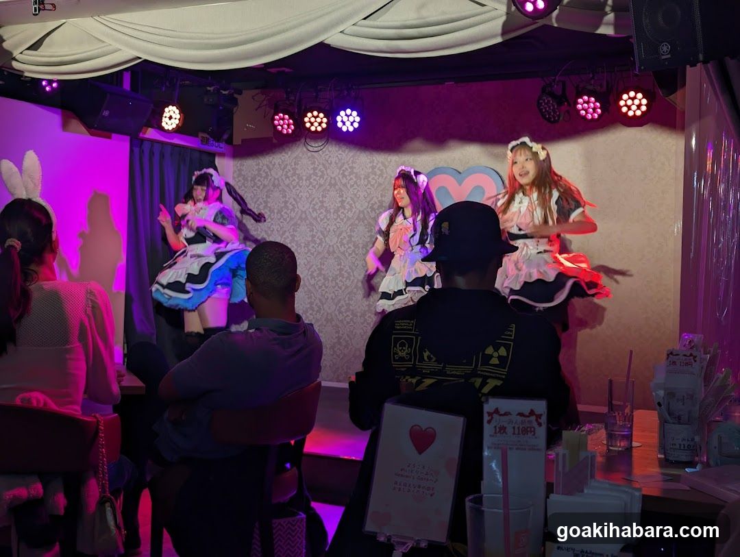 Maid Cafe Performance
