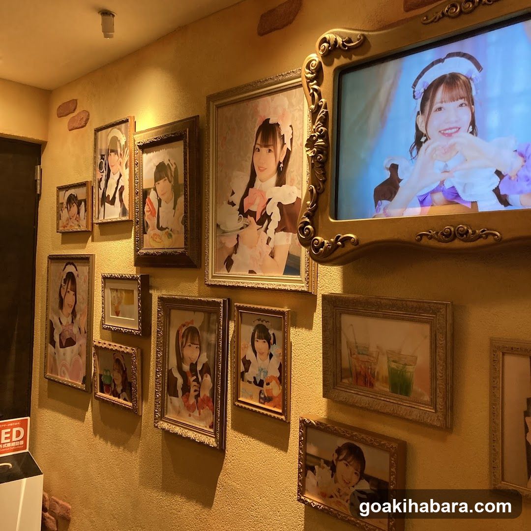 Aloha Cafe Interior Wall Display