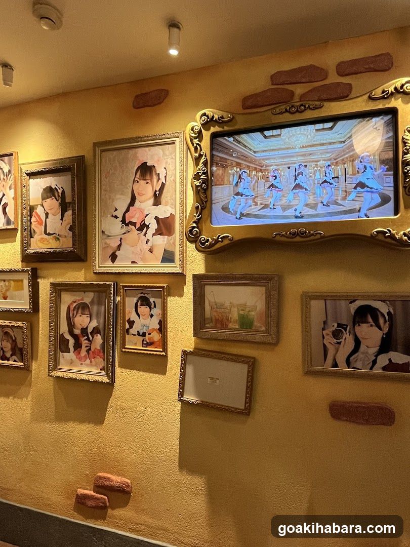Maid Cafe Wall Display