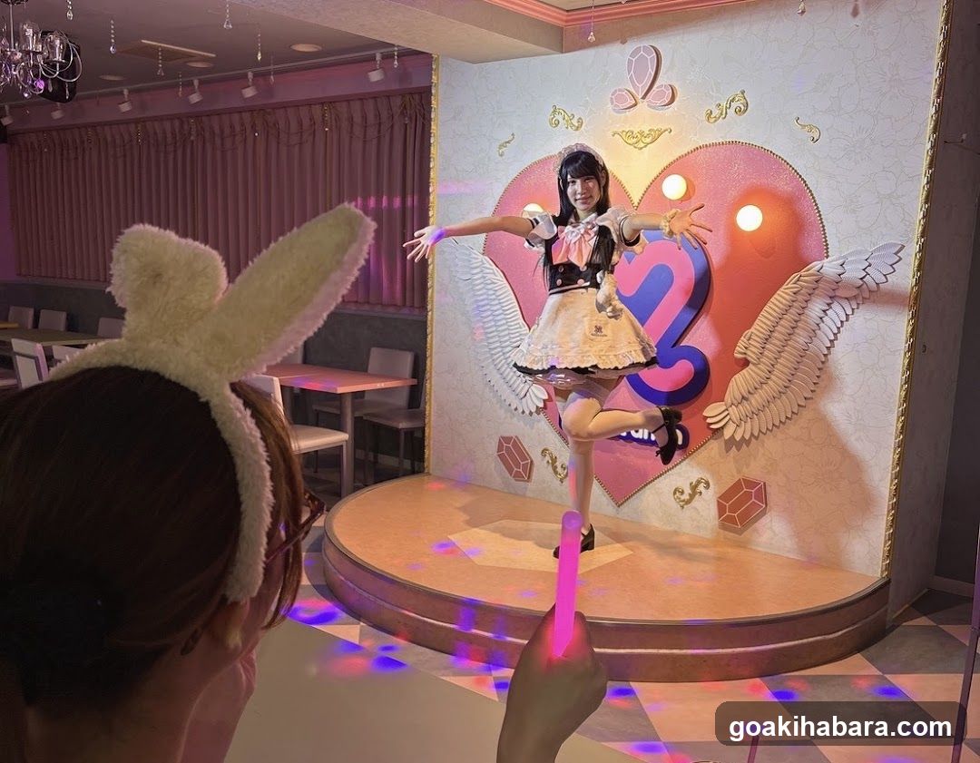 Maidcafe Maidreamin Akihabara idol-dori