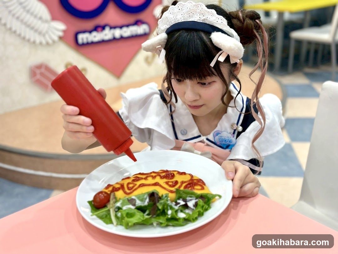 Maidcafe Maidreamin Akihabara idol-dori