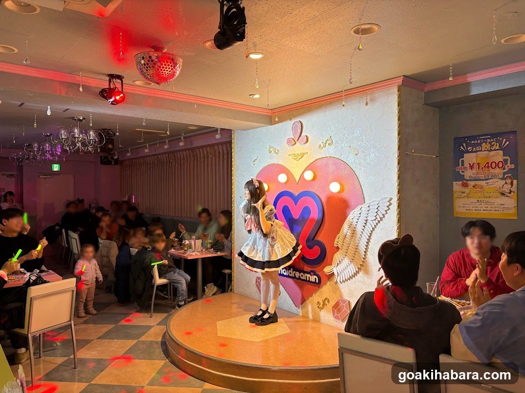 Live Performance at Maid Cafe