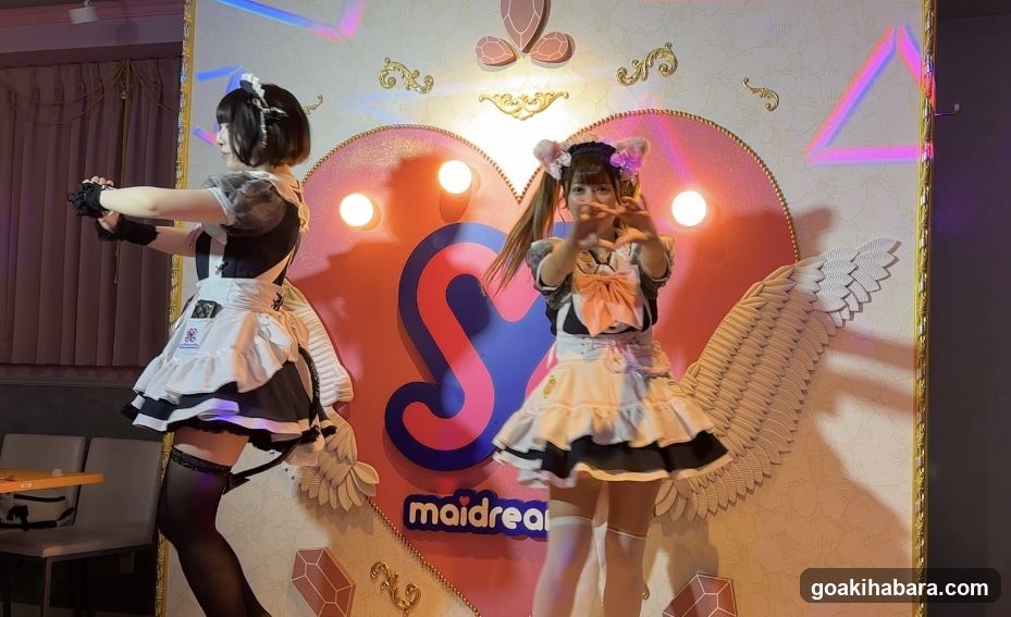 Maid Cosplay Photo at Maidrea Event