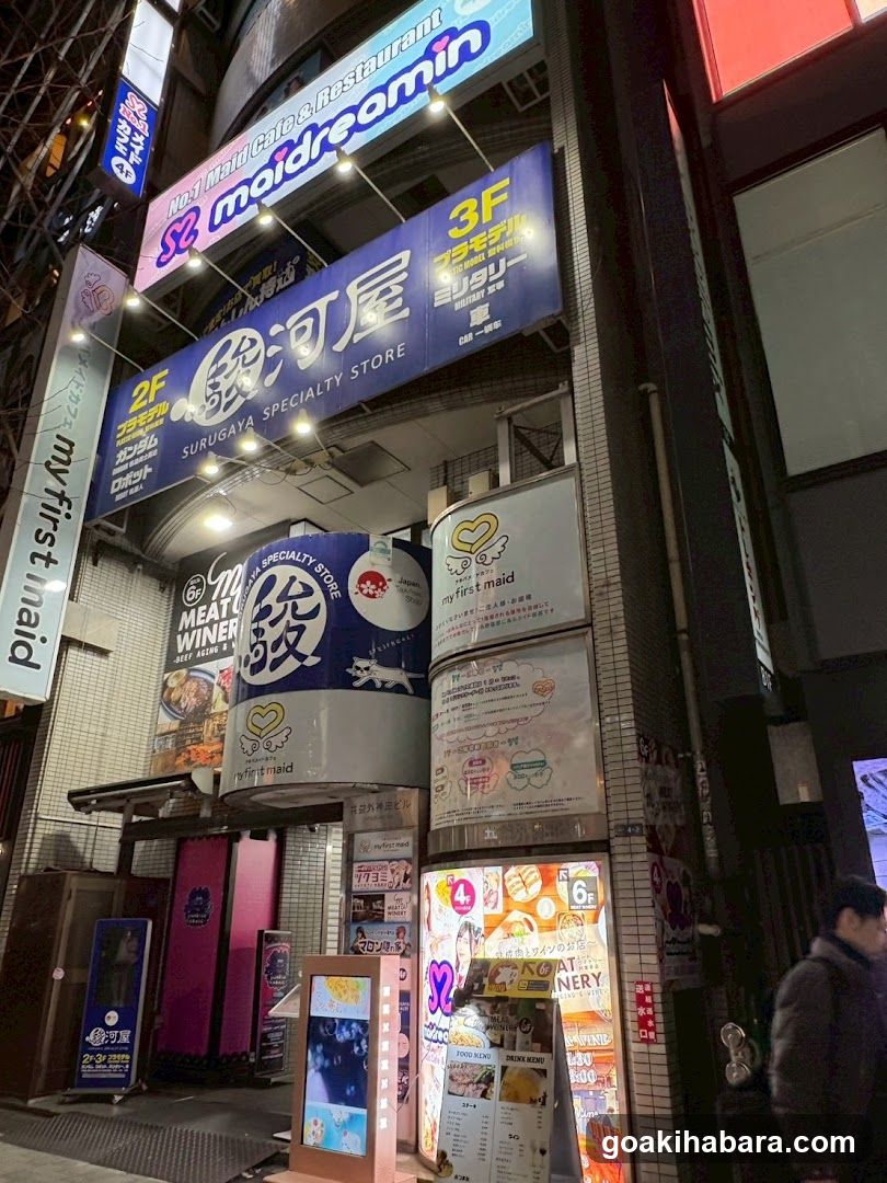 Maidcafe Maidreamin Akihabara idol-dori