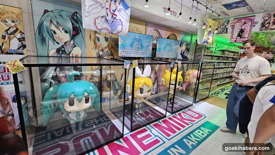 Anime Store Interior Display