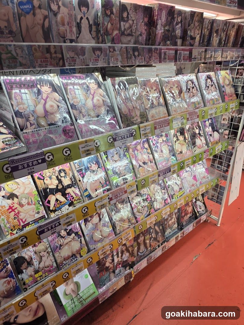 Ero manga and adult comics display rack