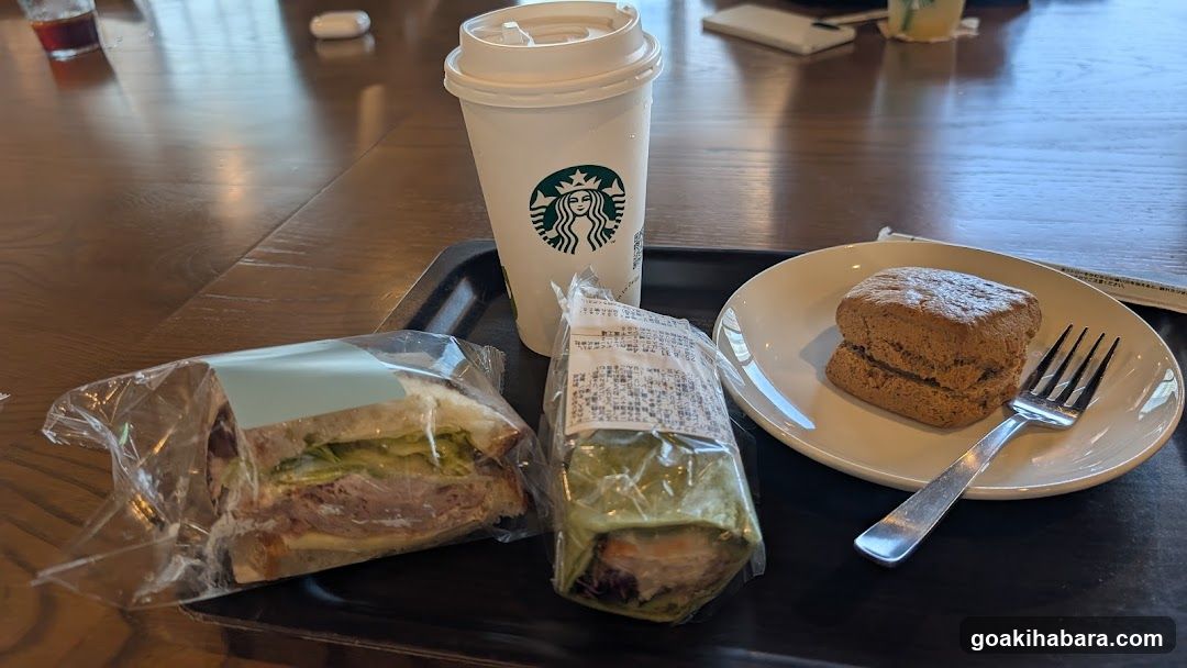 Starbucks Meal Tray