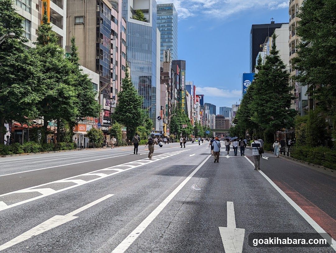 Busy Urban Street Scene