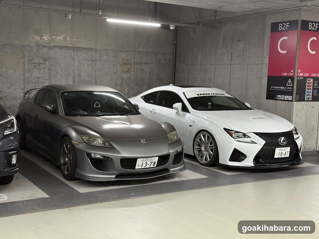 Parking Garage with Modified Cars