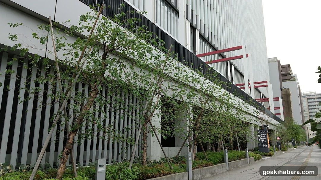 Modern Building Exterior with Trees