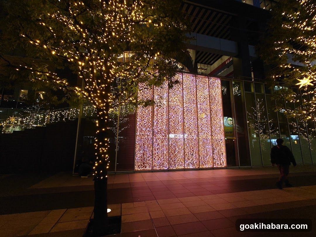 Night scene with illuminated trees and building facade