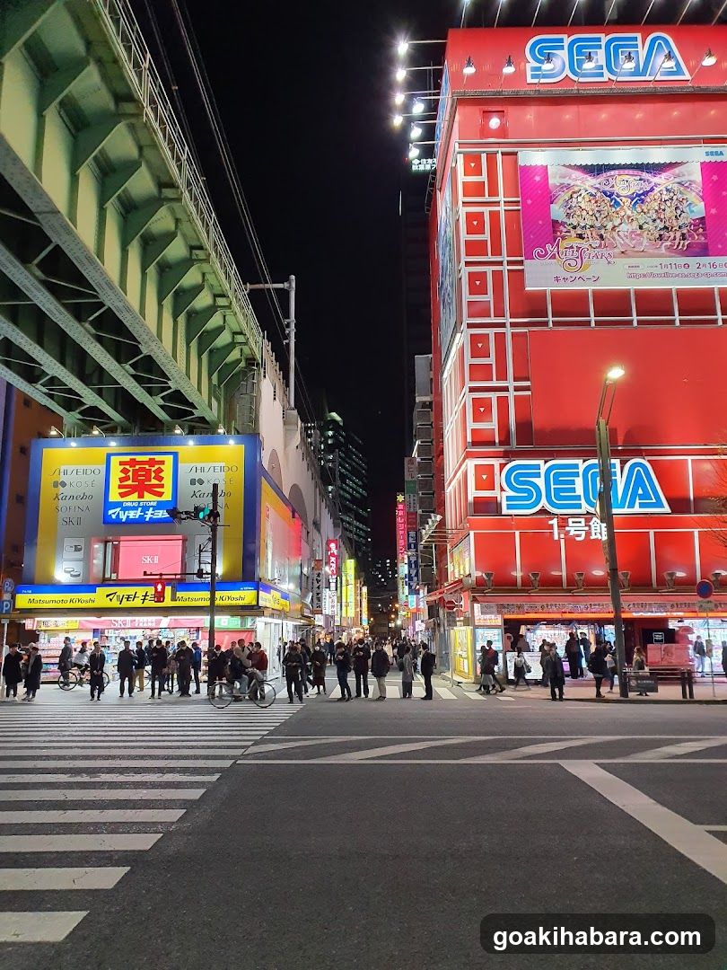 Night street scene with SEGA and pharmacy signs
