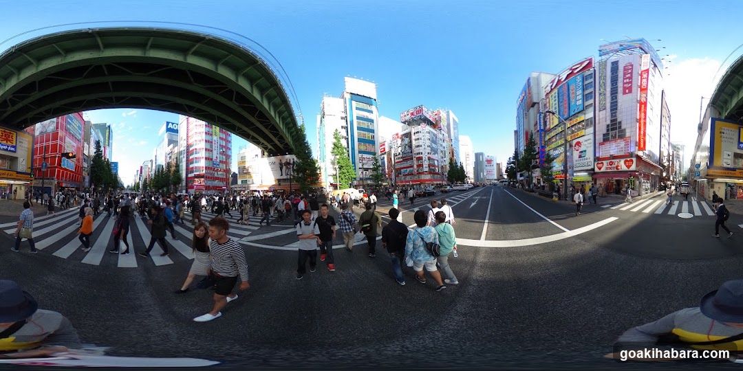 Shibuya Crossing Panorama