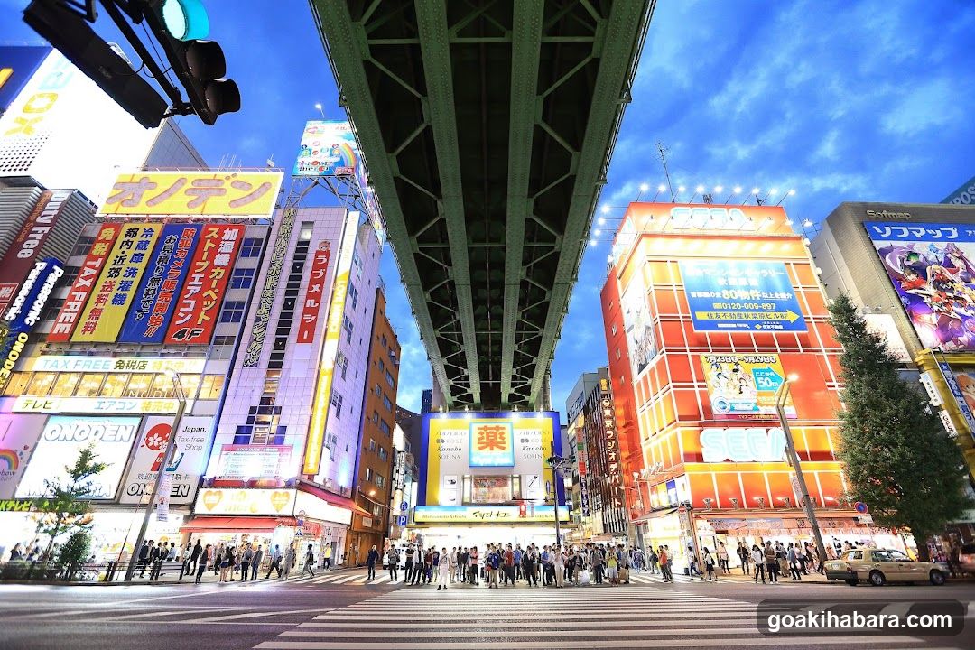 Shibuya Crossing at Night