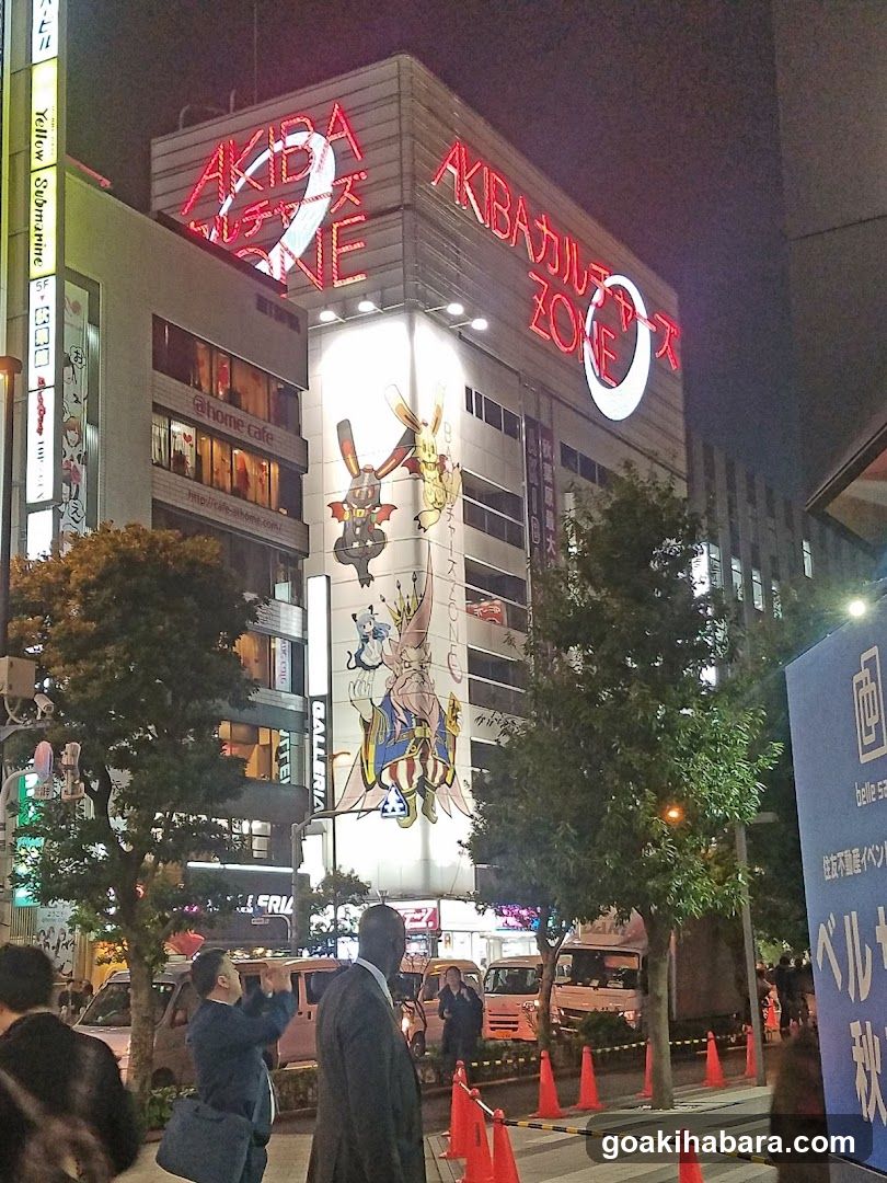 Akiba Night Scene