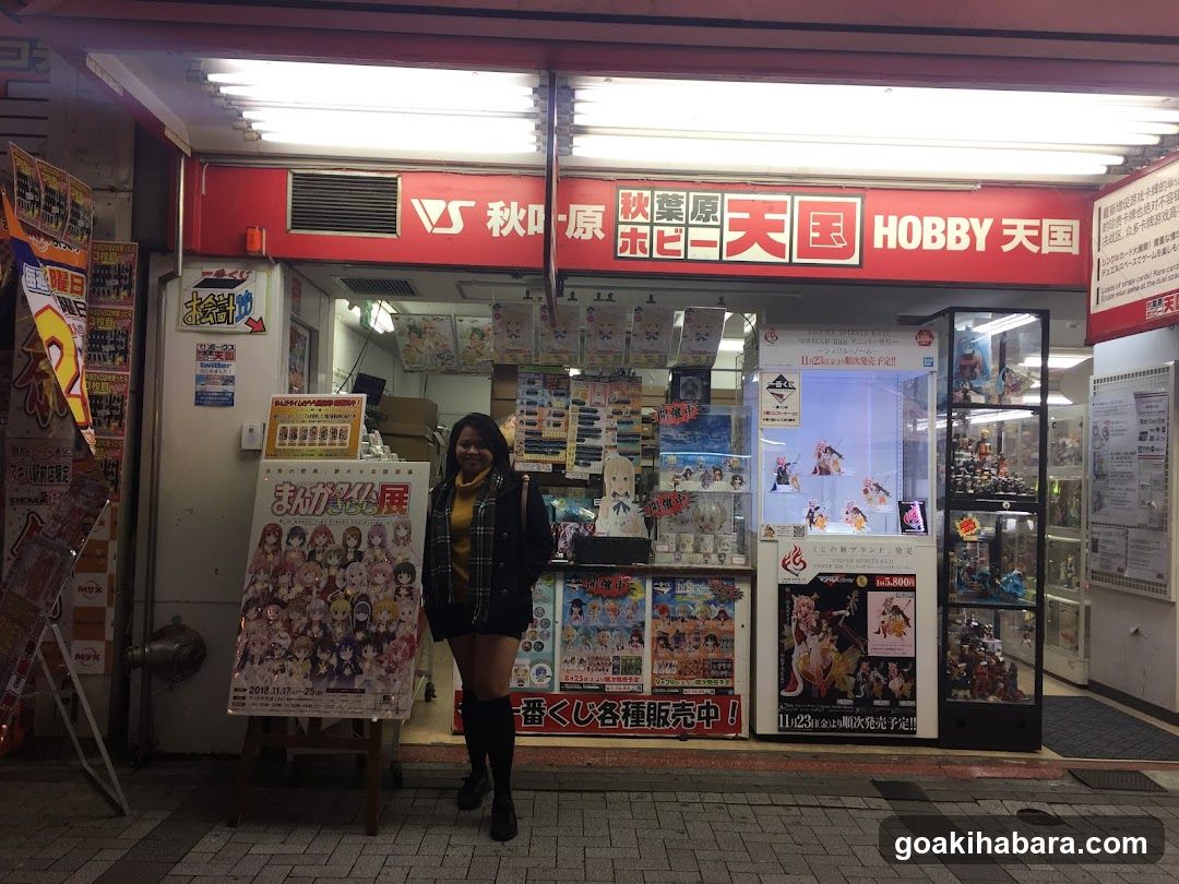 Akihabara Electrical Town Organization