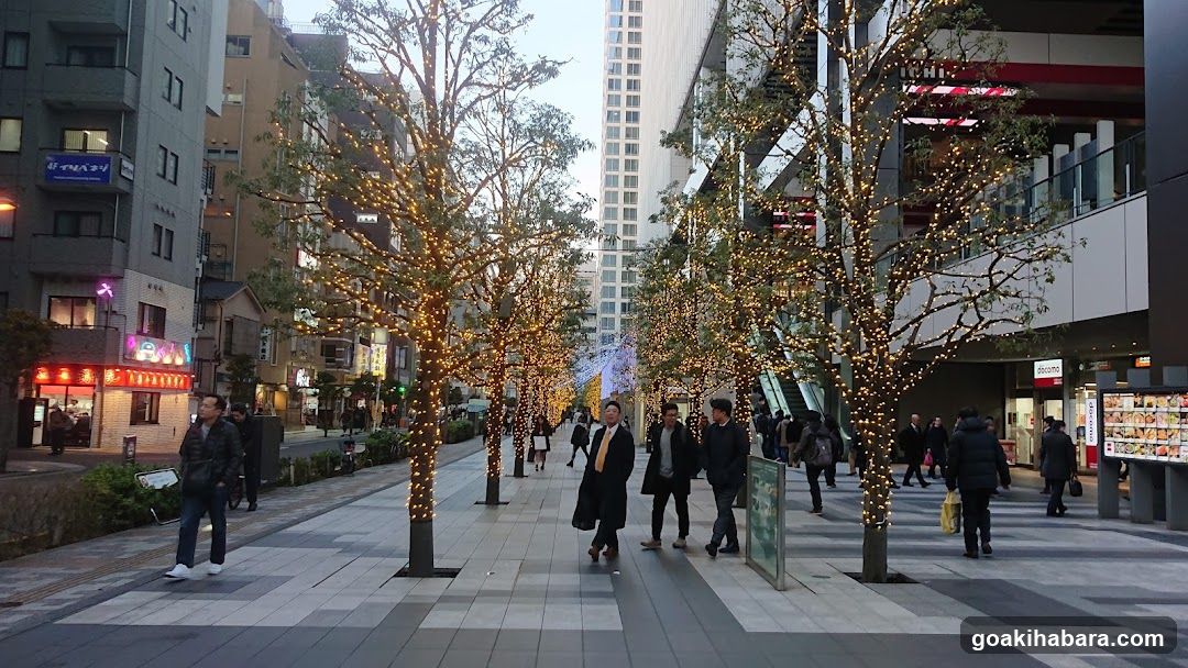 Decorated Shopping Street at Dusk