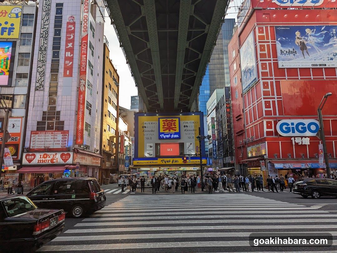 Shibuya Crossing View