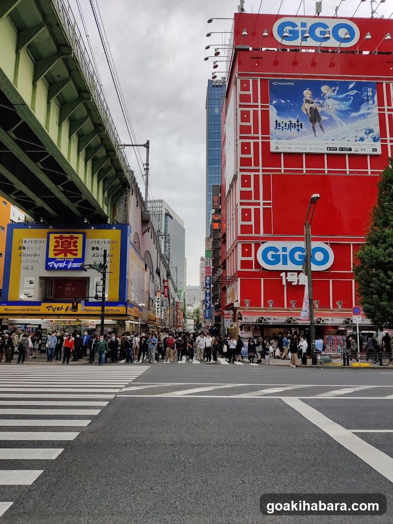 Urban Street Scene with Shops and Crowds