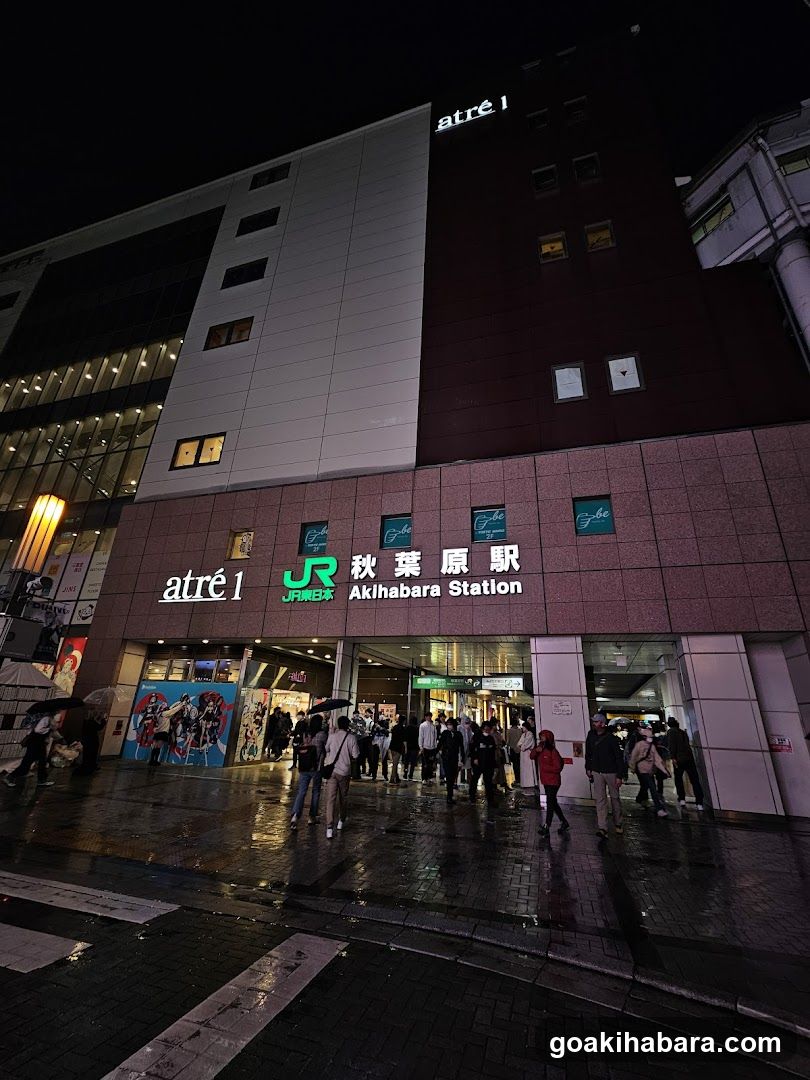Akihabara X