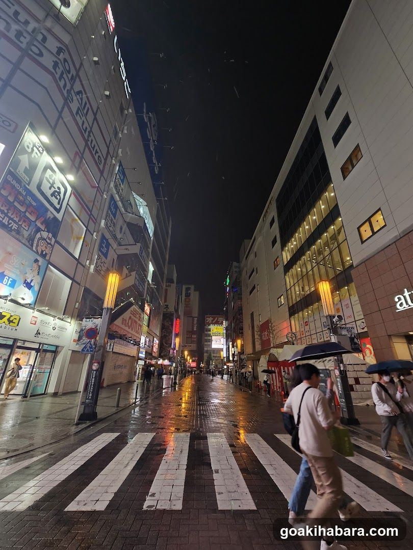 Rainy Night in a Japanese City