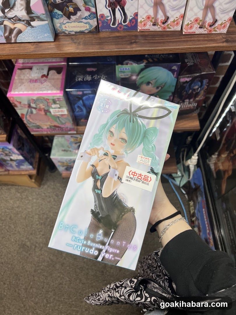 Figure Merchandise Display
