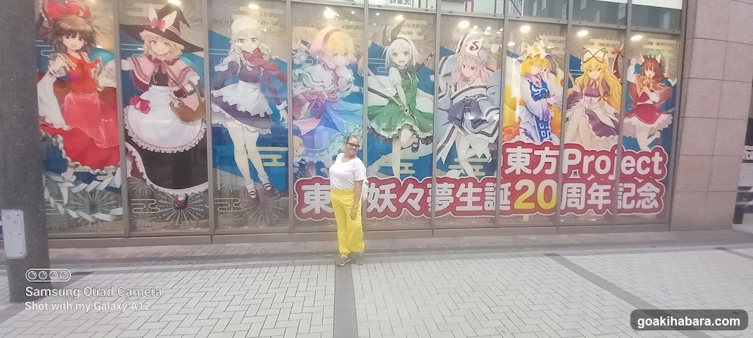Touhou Project 20th Anniversary Storefront