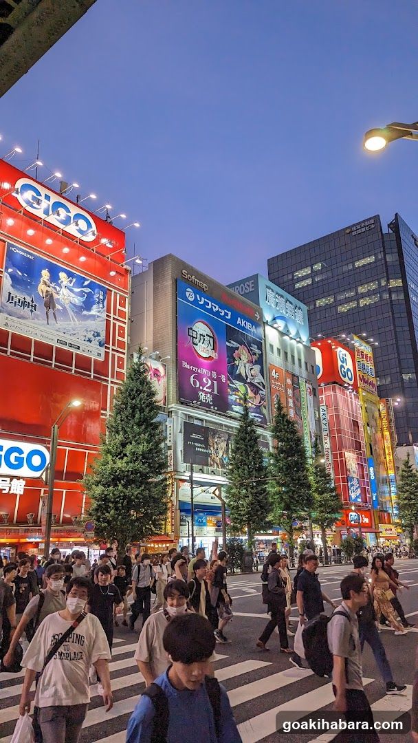 Shibuya Crossing at dusk