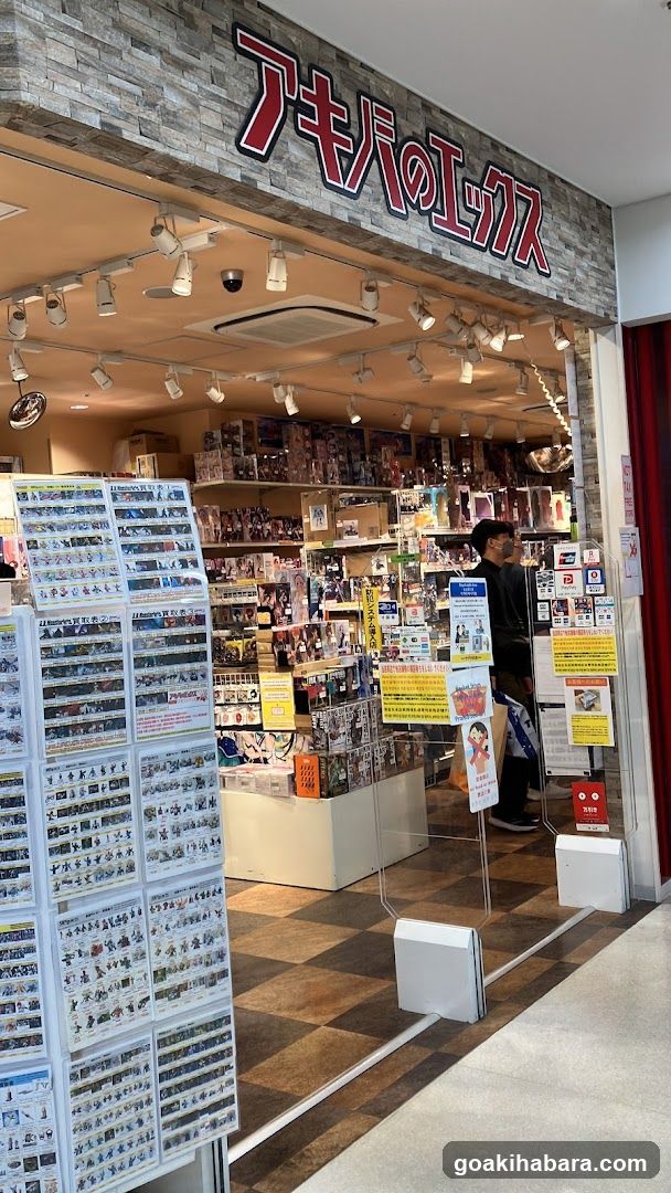 Anime Shop Entrance