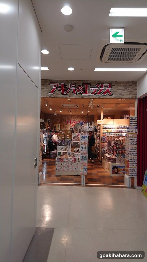 Anime Shop Interior View
