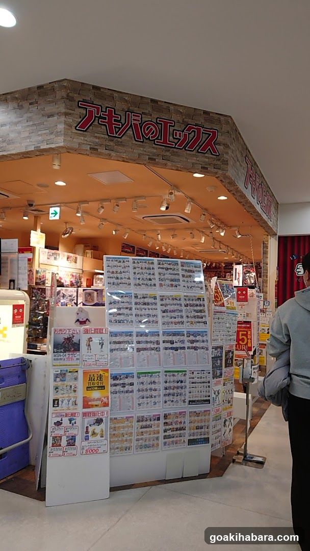 Akiba no Ekkusu Storefront
