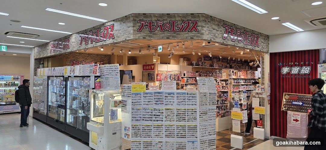 Akihabara EX Store Interior