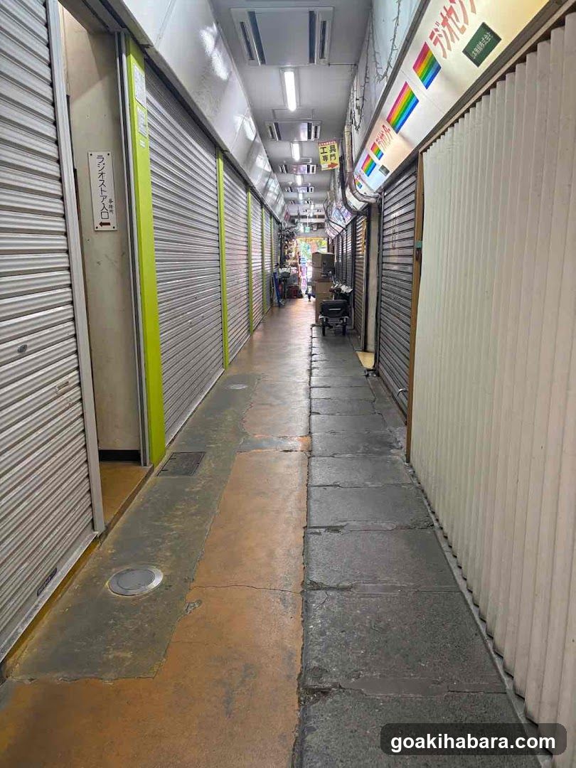 Closed Alleyway with Rolling Doors