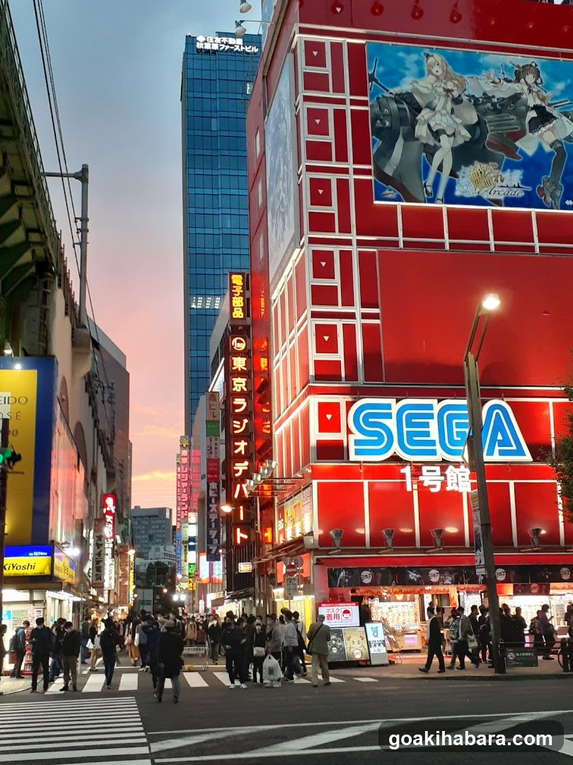 Tokyo Street Scene at Dusk