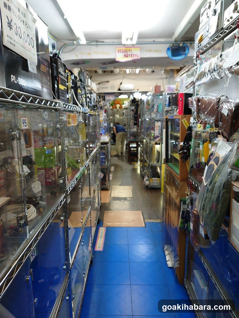 Interior of a Japanese electronics or hobby shop