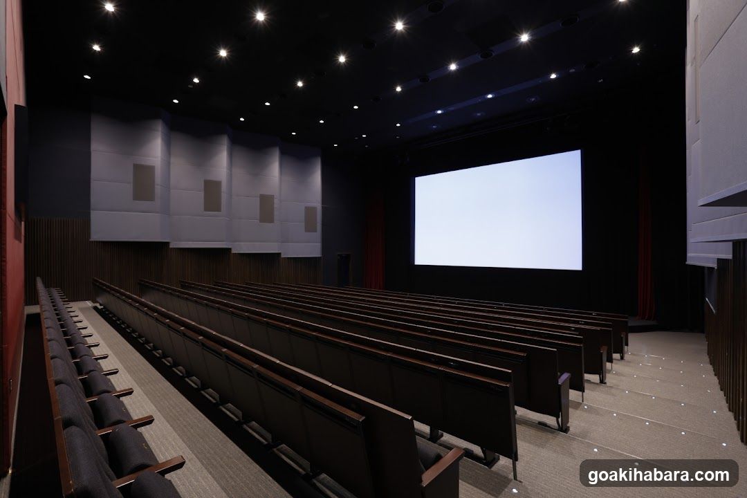 Empty Cinema Interior
