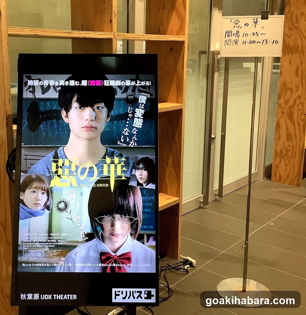 Movie Poster Display