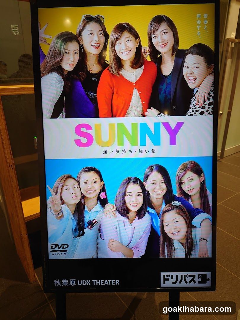 Sunny TV Show Poster