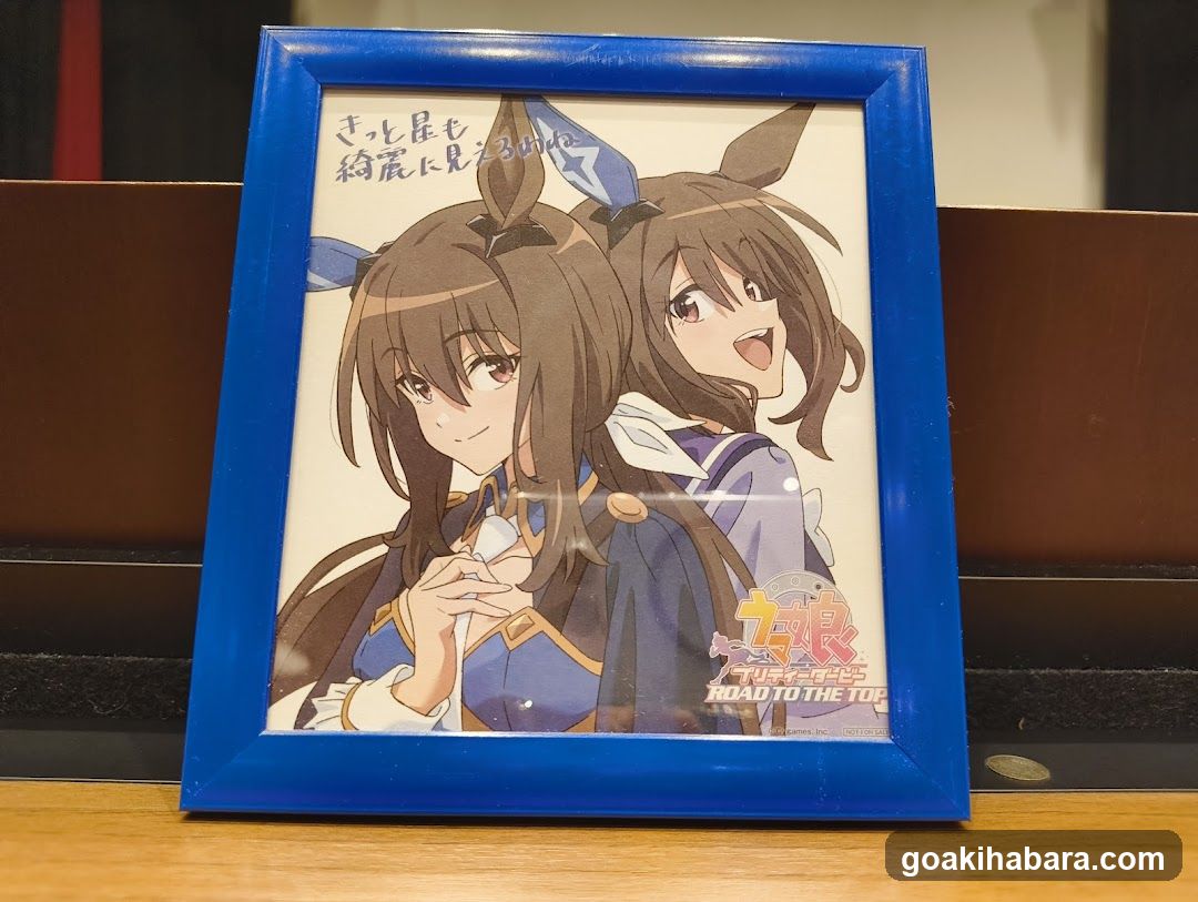 Framed Anime Merchandise