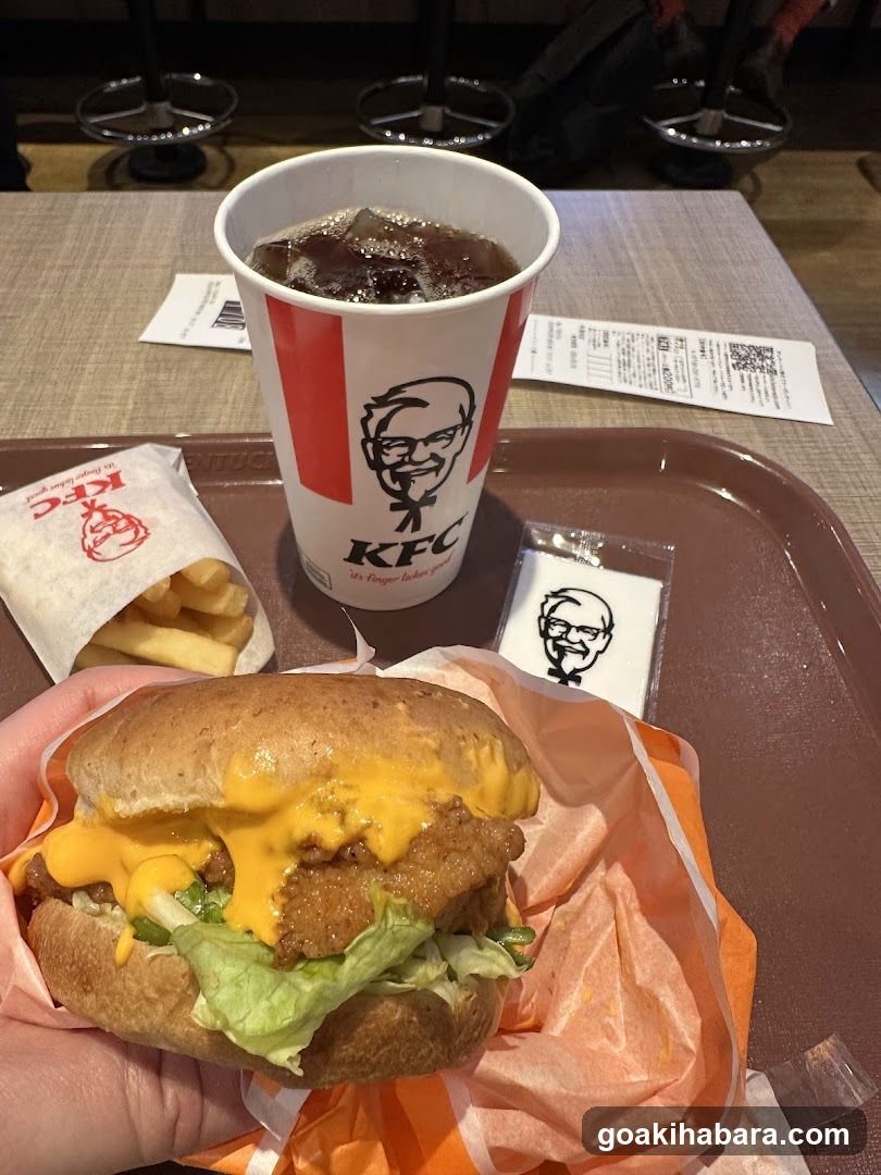 KFC Meal with Burger and Fries