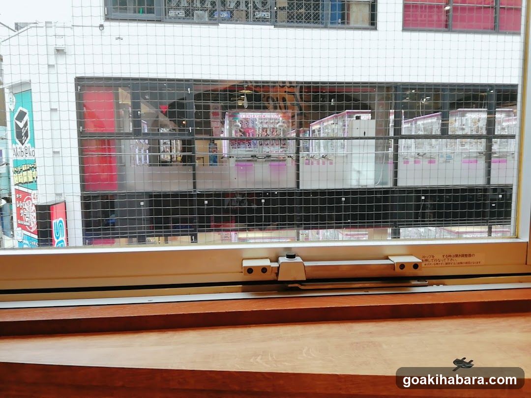 View through window with security mesh