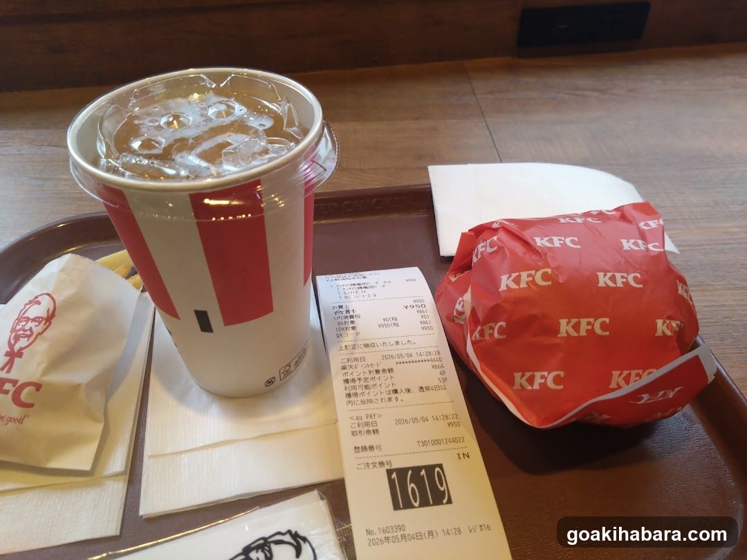 KFC Meal on Tray