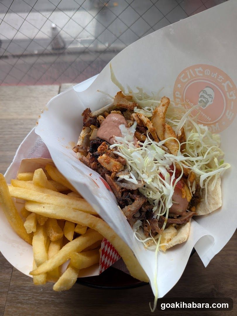 Shawarma with Fries