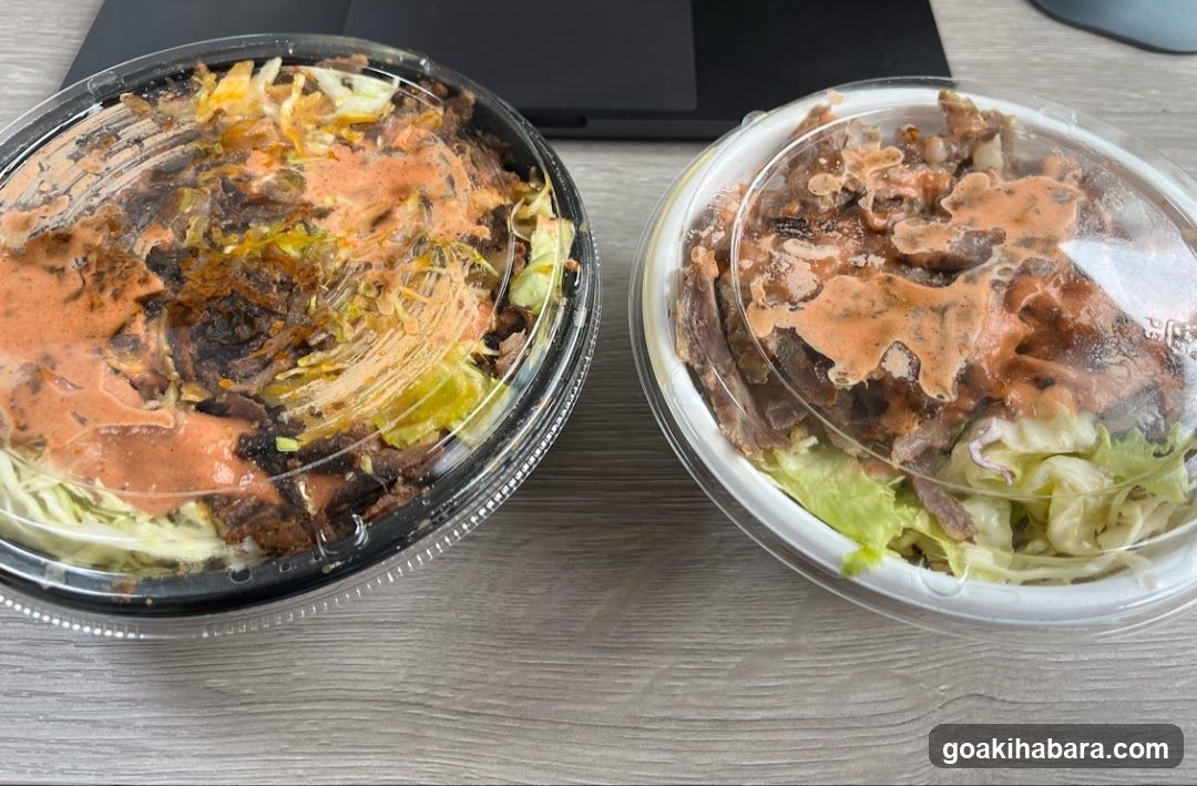 Takeout Bowls with Sauce
