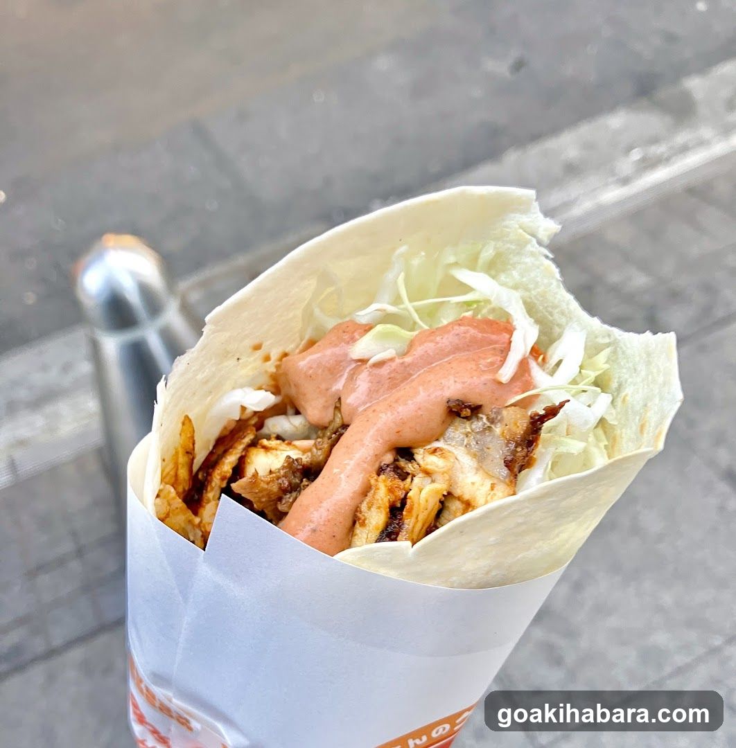 Chicken Wrap with Sauce