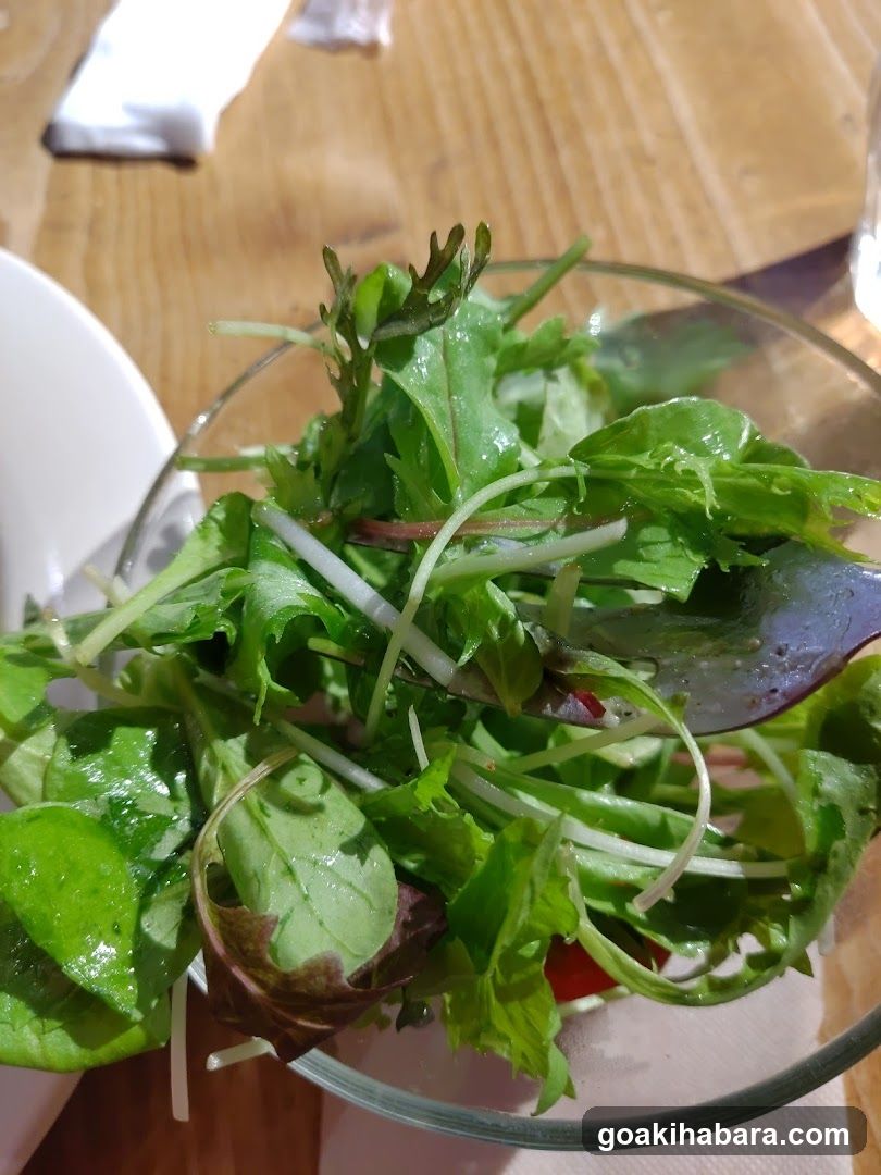 Fresh Salad Bowl