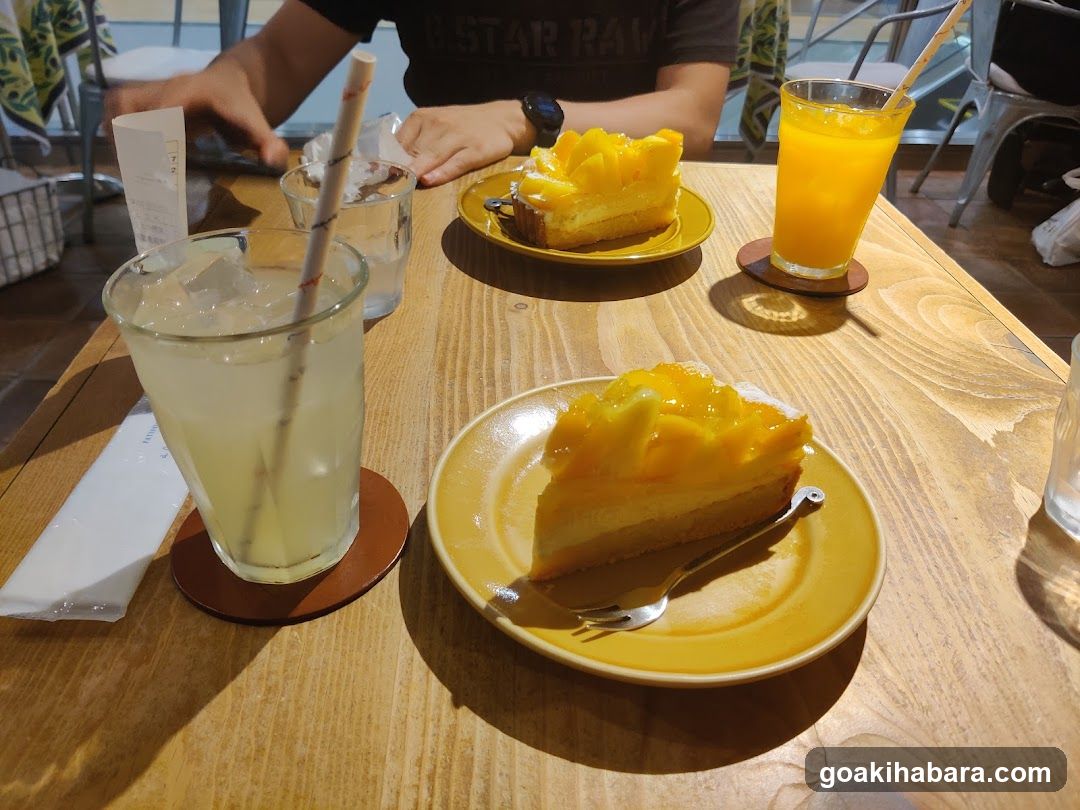 Mango Cheesecake and Drinks at Cafe