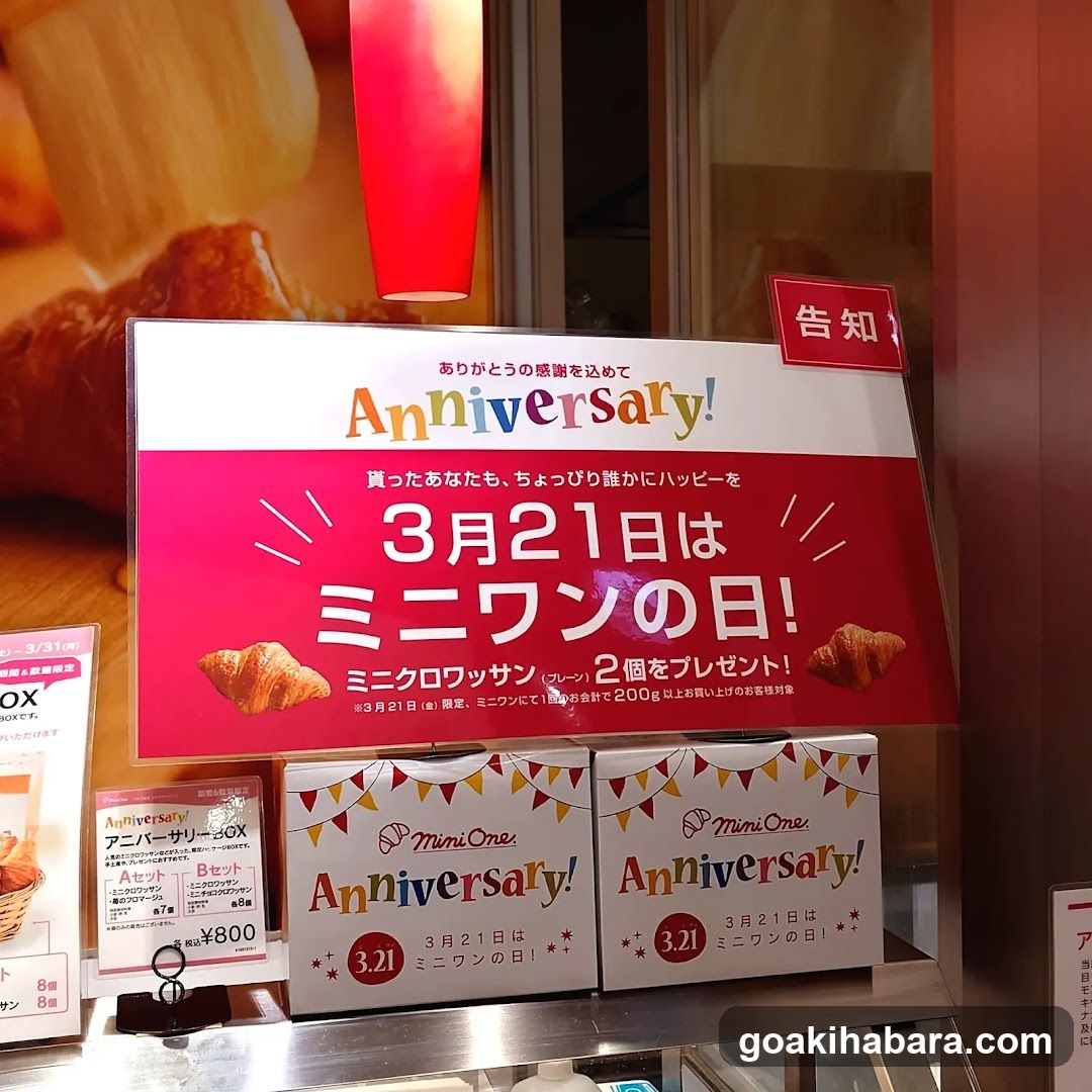 Mini One Anniversary Promotion Display