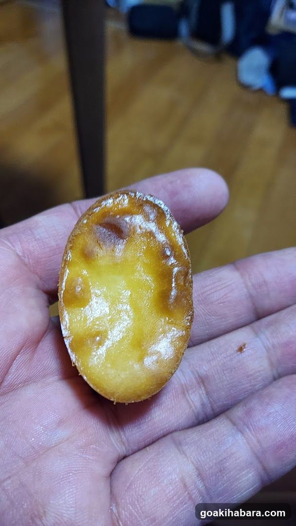 Hand holding a small pastry