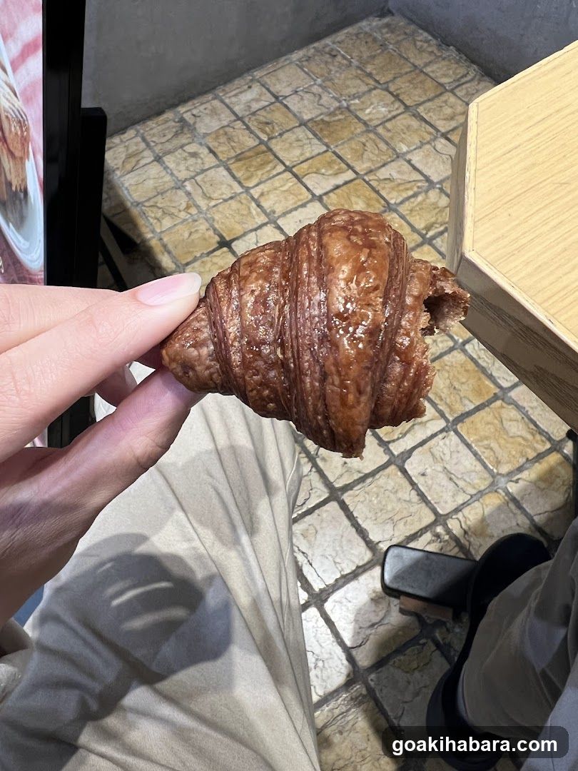 Croissant in Hand